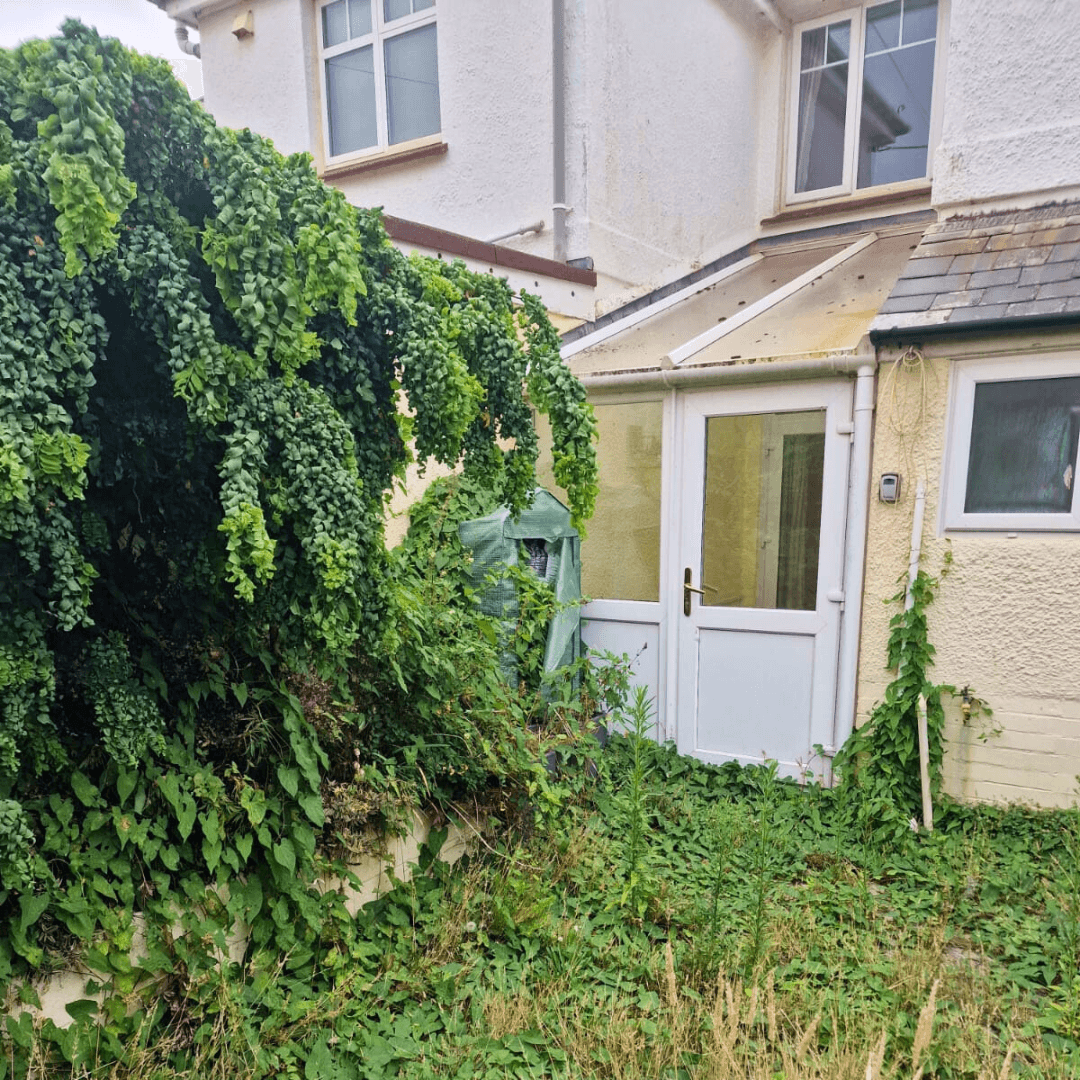 Garden before gravel installation
